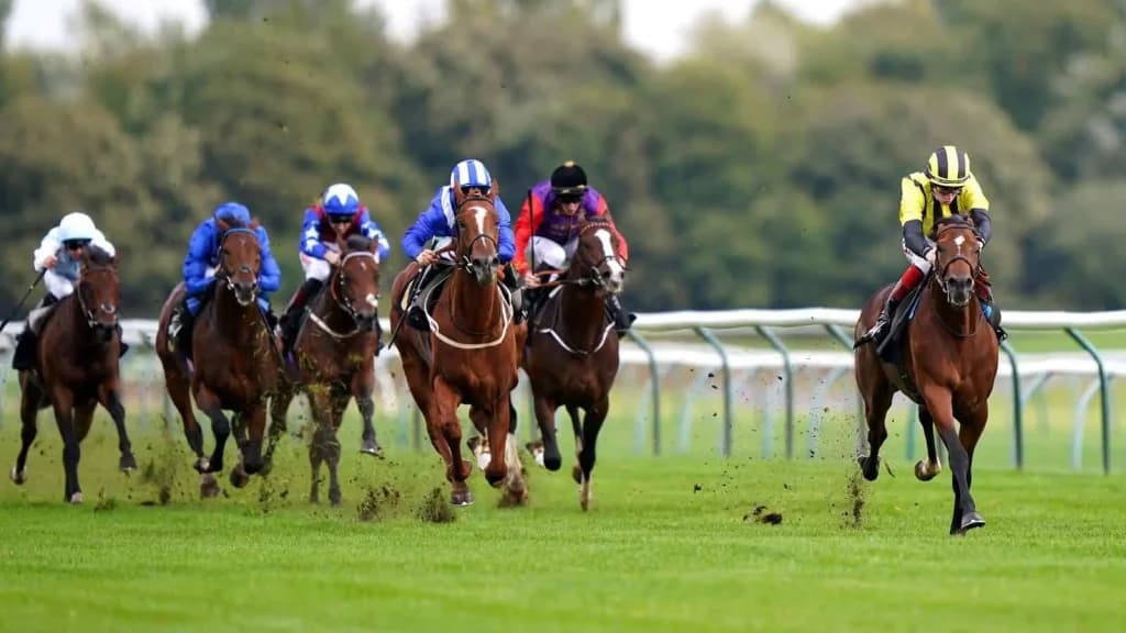 Wednesday's Horse Racing Tips: Nottingham, October 9th