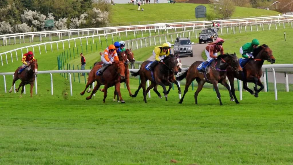 Saturday’s Horse Racing Tips: Epsom, June 1st