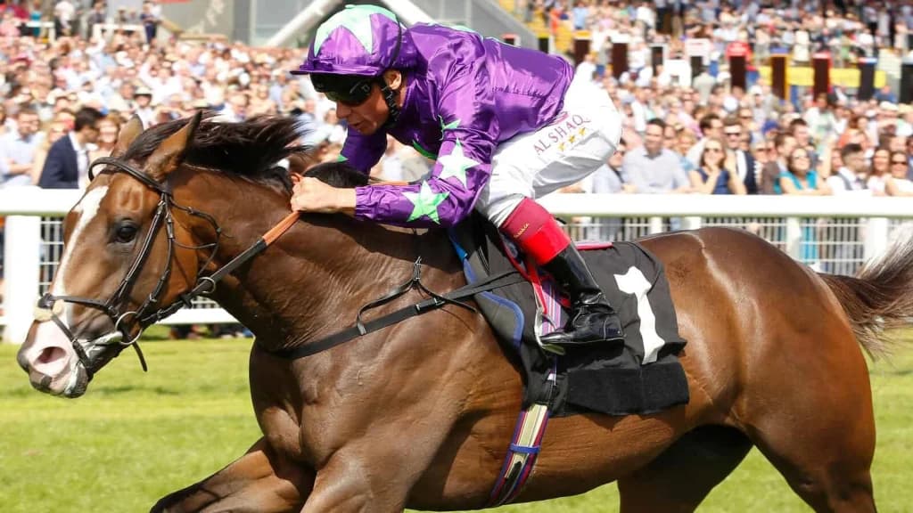 Wednesday's Horse Racing Tips: Newbury, December 18th