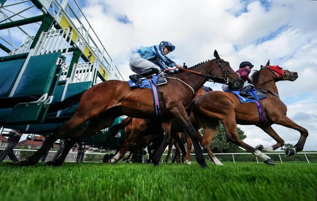 Sunday’s Horse Racing Tips: Leicester, August 7th