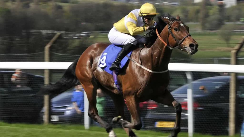 Sunday’s Horse Racing Tips: Pontefract, August 18th