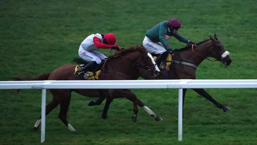 Saturday's Horse Racing Tips: Cheltenham, Doncaster, January 28th