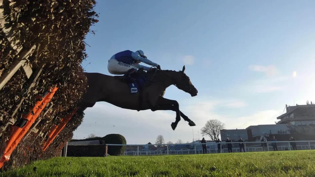 Saturday’s Horse Racing Tips: Sandown, Aintree, December 9th