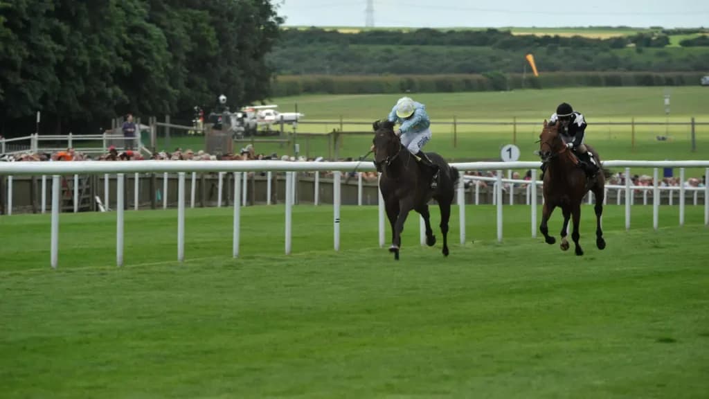 Saturday’s Horse Racing Tips: Newmarket, Goodwood, Thirsk May 4th