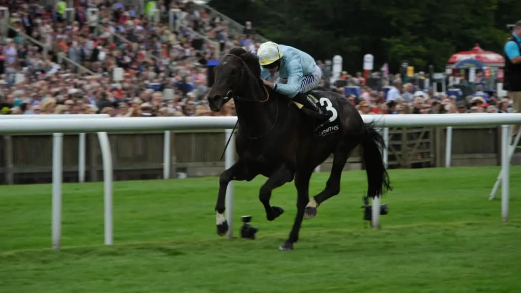 Wednesday's Horse Racing Tips: Newmarket, April 17th