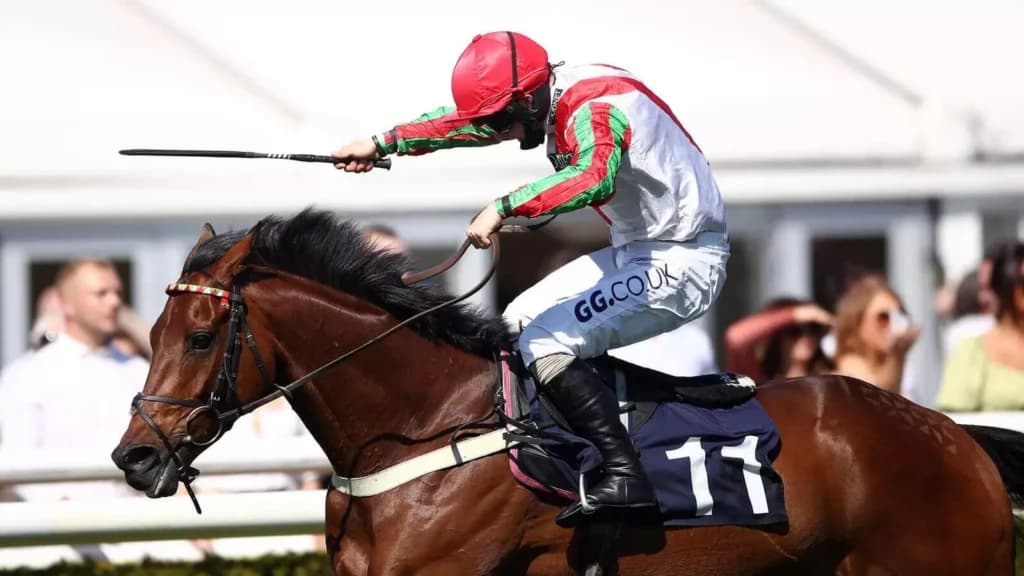 Thursday’s Horse Racing Tips: Market, November 10th