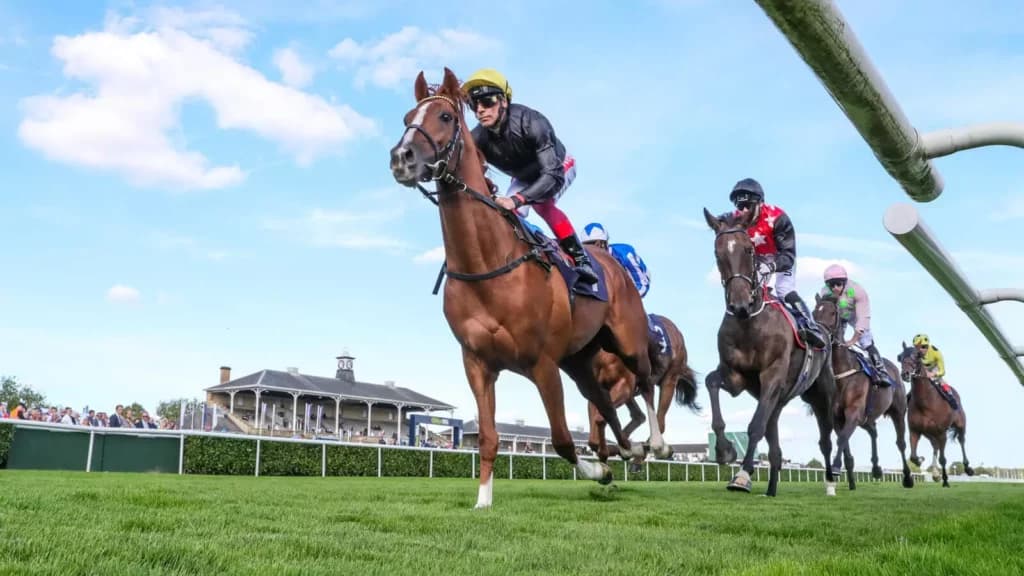 Thursday’s Horse Racing Tips: Doncaster, December 29th