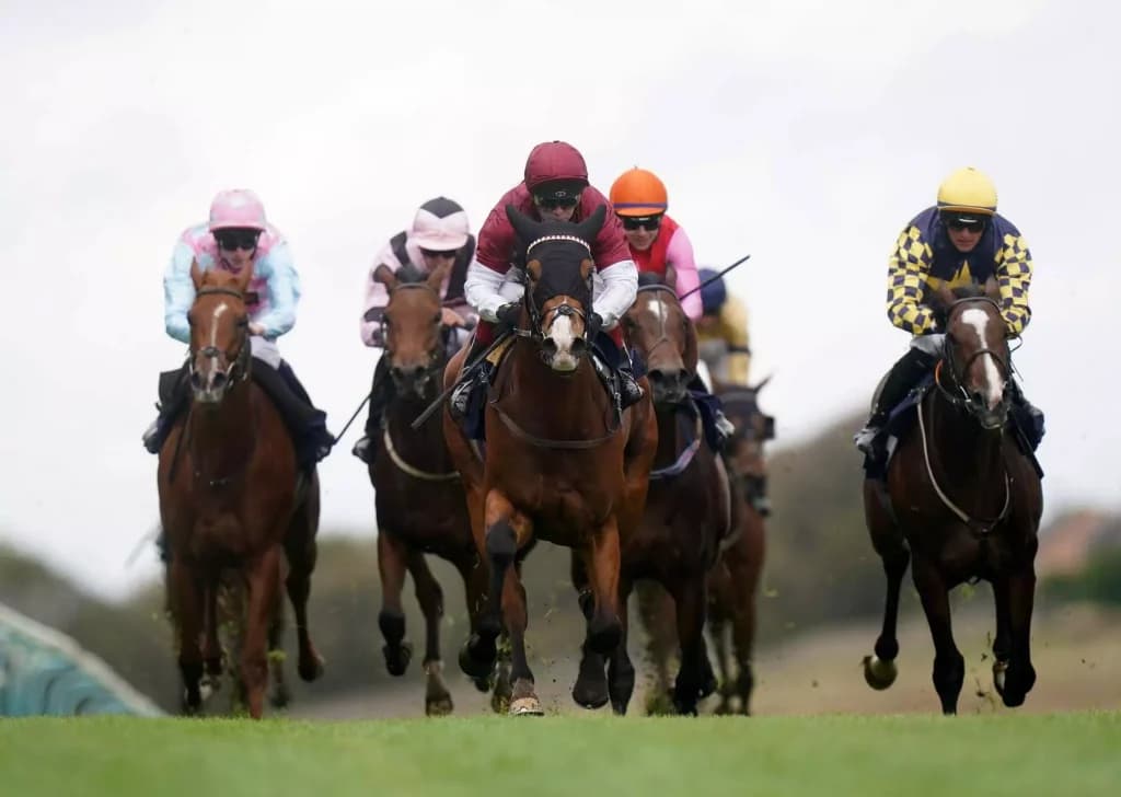 Wednesday’s Horse Racing Tips: Brighton, August 3rd