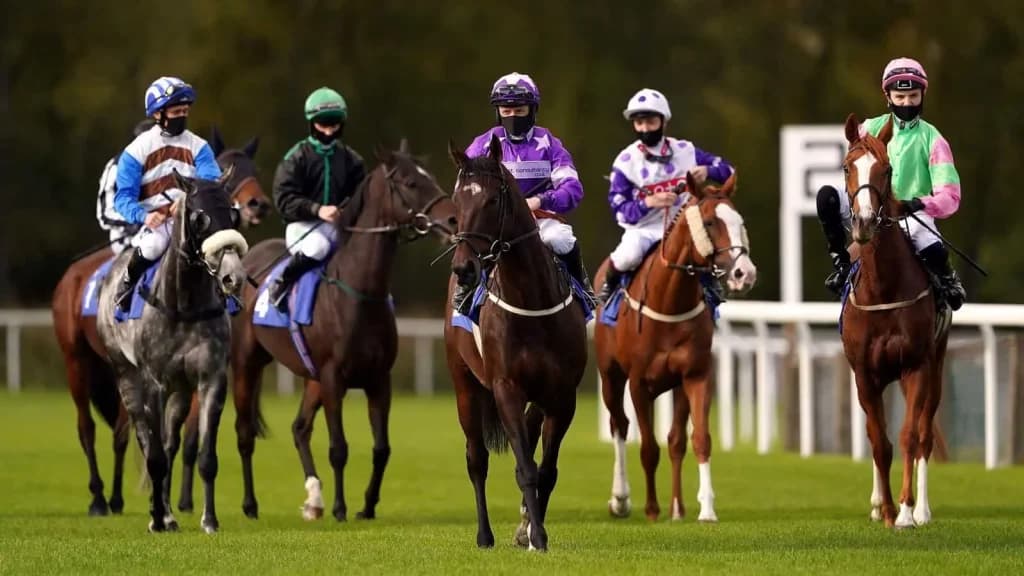 Wednesday's Horse Racing Tips: Pontefract, August 7th