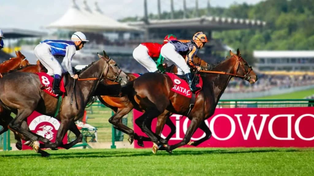 Sunday’s Horse Racing Tips: Goodwood, August 25th