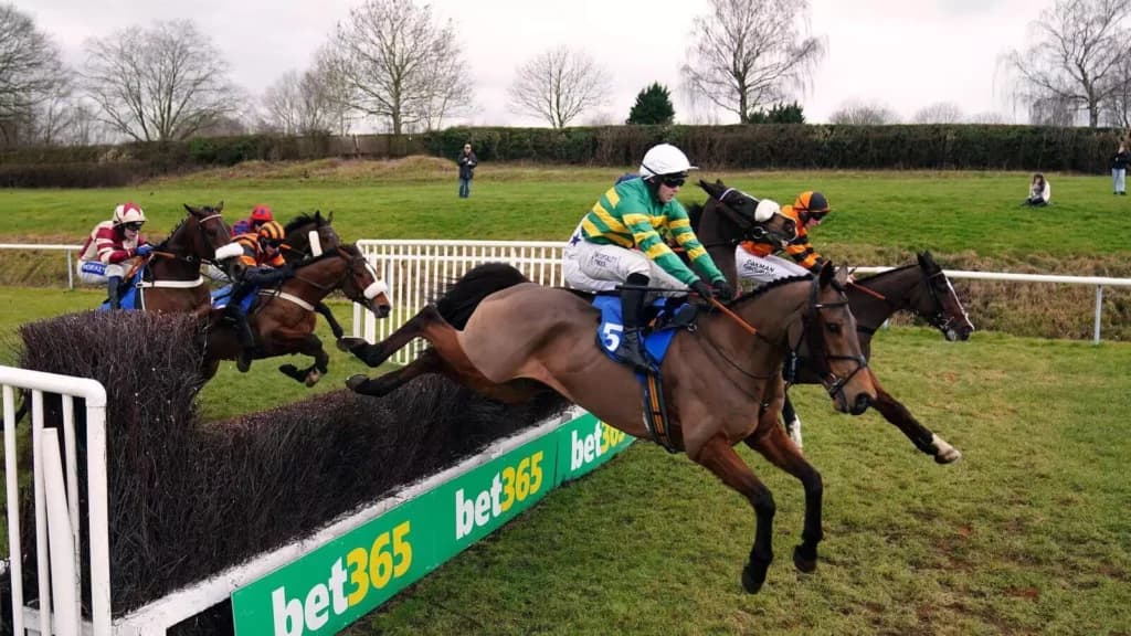 Tuesday’s Horse Racing Tips: Leicester, June 6th