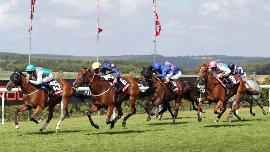 Sunday’s Horse Racing Tips: Leicester, August 13th