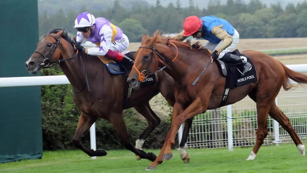 Saturday’s Horse Racing Tips: Goodwood, Newmarket, August 5th