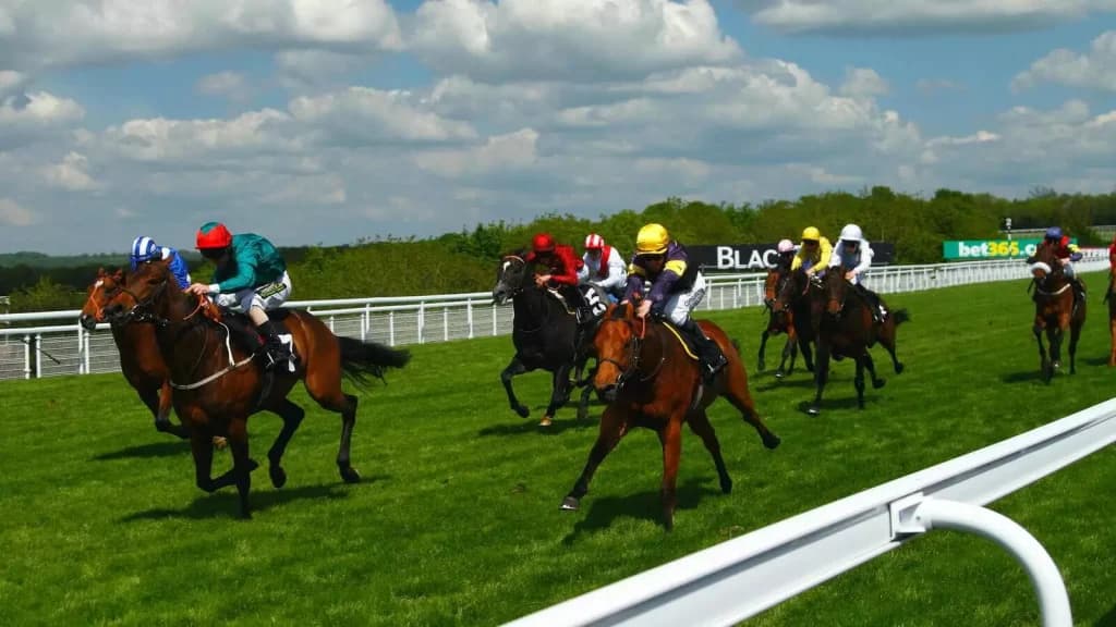 Tuesday’s Horse Racing Tips: Goodwood, September 5th