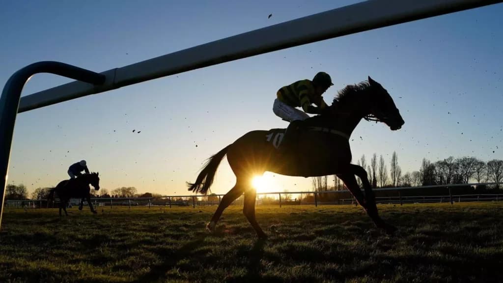 Sunday’s Horse Racing Tips: Fontwell, February 26th