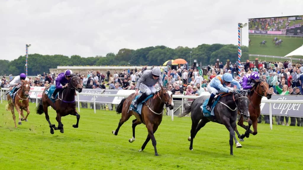 Saturday’s Horse Racing Tips: York, Sandown June 17th