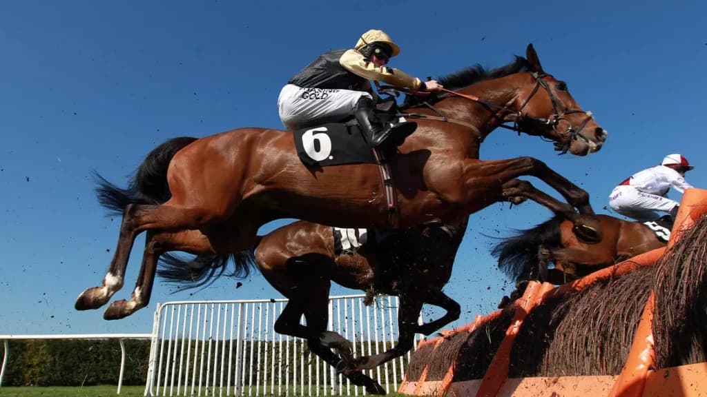 Tuesday’s Horse Racing Tips: Hereford, November 21st