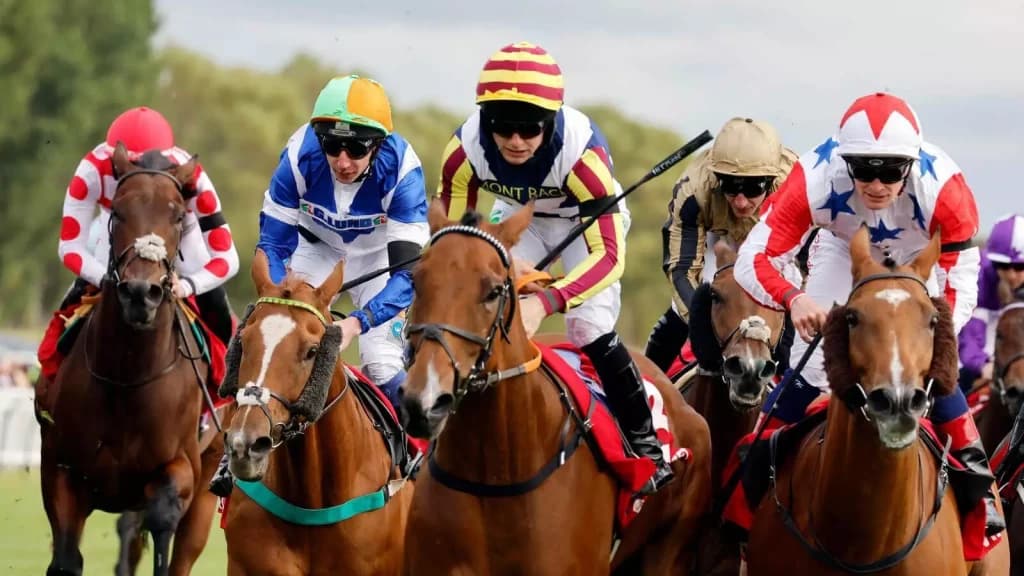 Thursday’s Horse Racing Tips: Ayr, October 6th