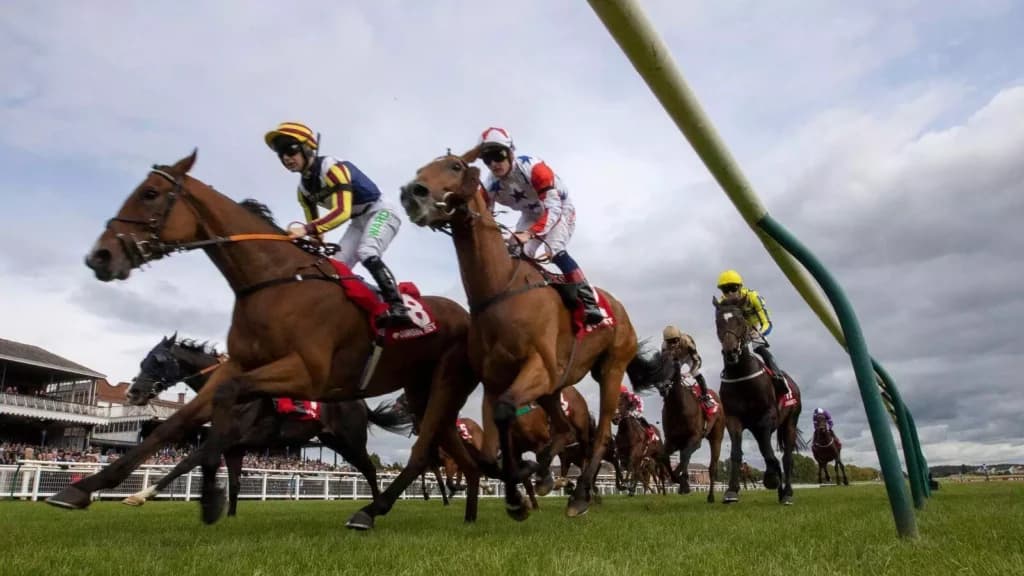 Tuesday’s Horse Racing Tips: Ayr, November 29th
