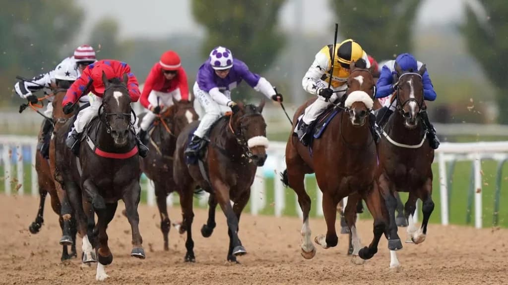 Thursday’s Horse Racing Tips: Southwell, December 15th