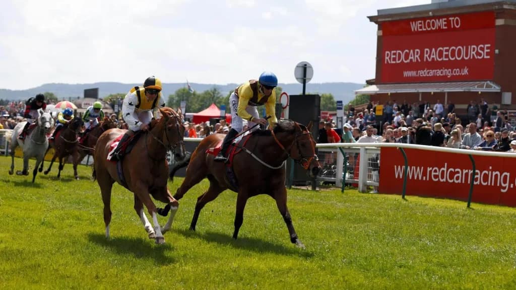 Monday's Horse Racing Tips: Redcar, May 20th