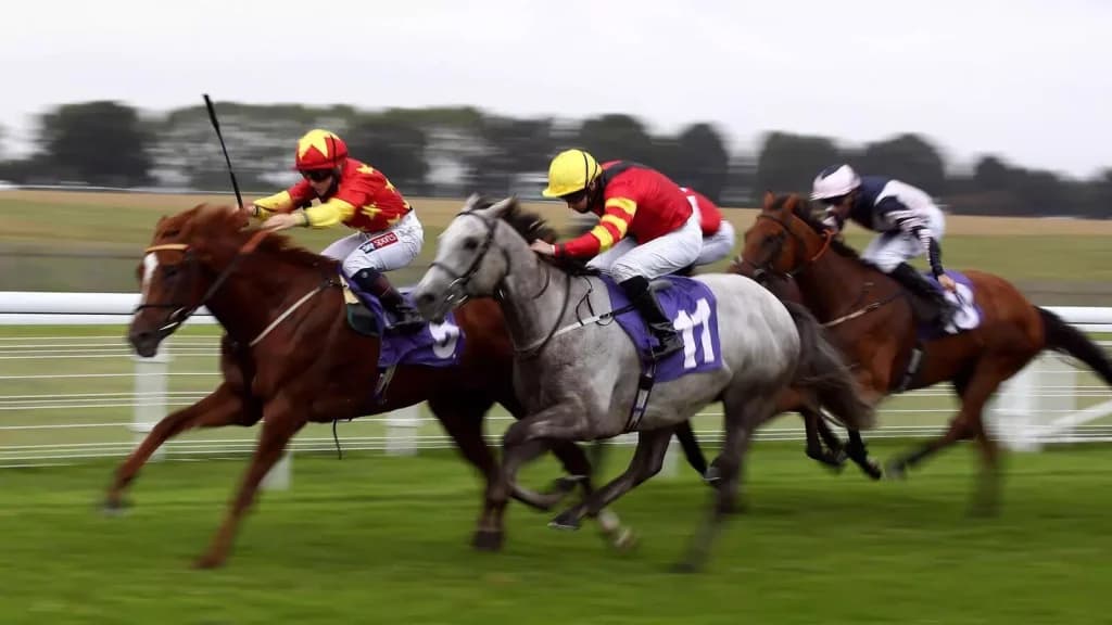 Sunday’s Horse Racing Tips: Hamilton, September 24th