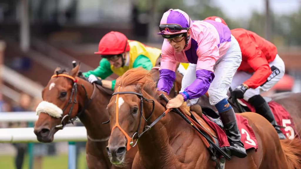Wednesday’s Horse Racing Tips: Haydock, November 30th
