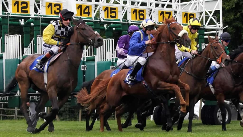 Thursday's Horse Racing Tips: Salisbury, August 15th