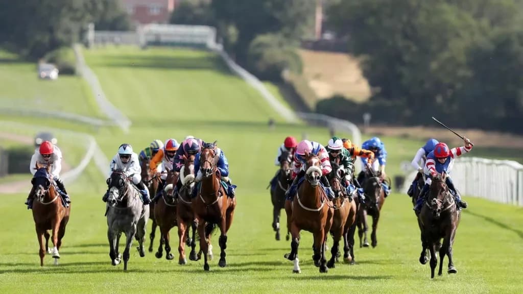 Tuesday’s Horse Racing Tips: Leicester, October 17th