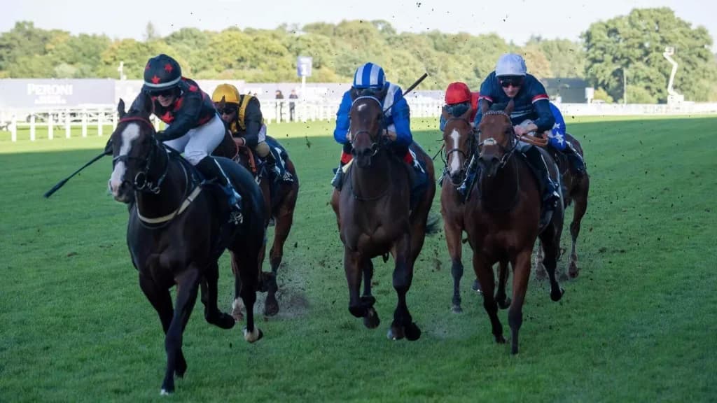 Saturday's Horse Racing Tips: Ascot October 15th