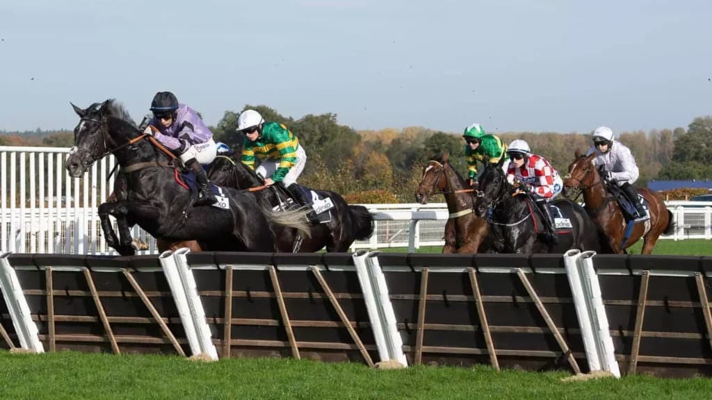 Friday’s Horse Racing Tips: Ascot, November 18th