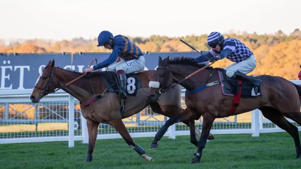 Wednesday's Horse Racing Tips: Hereford, February 14th