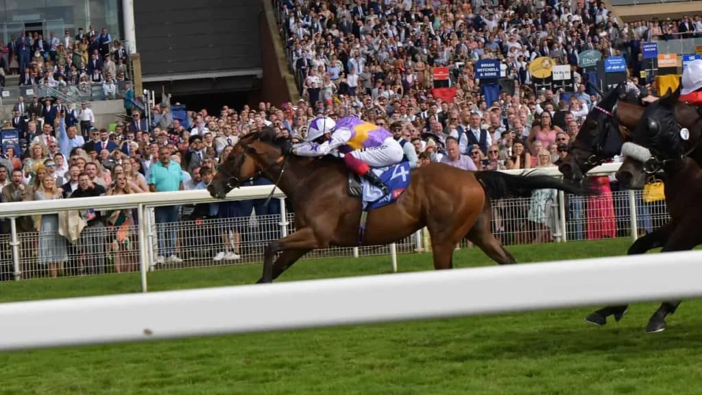Wednesday's Horse Racing Tips: York, August 21st