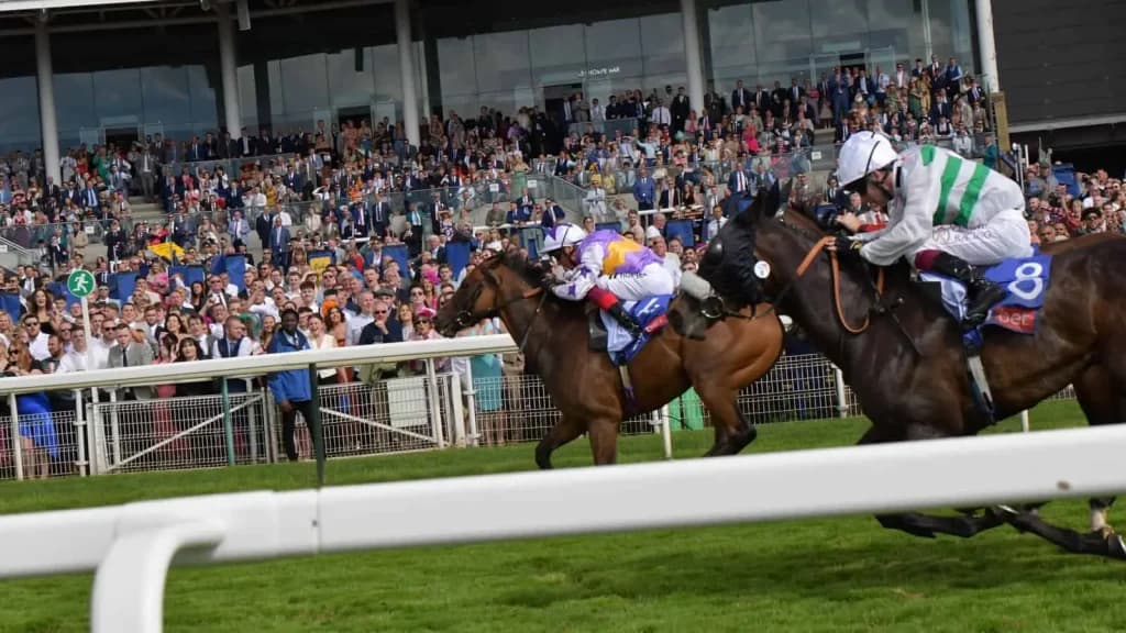 Saturday’s Horse Racing Tips: Ascot, York, Newmarket, July 13th
