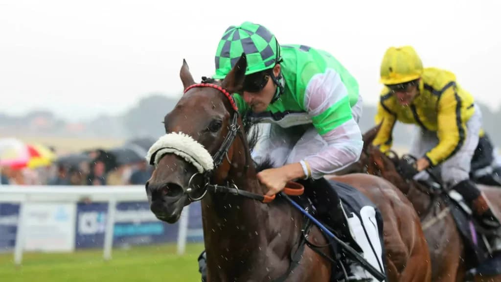 Thursday’s Horse Racing Tips: Beverley, August 17th