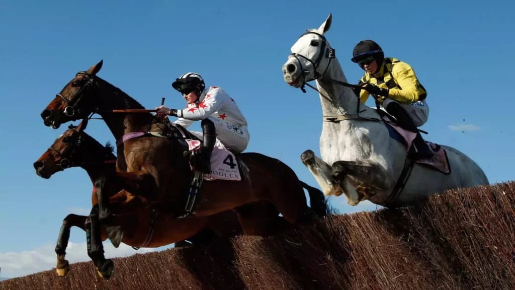Saturday's Horse Racing Tips: Cheltenham, Lingfield November 12th