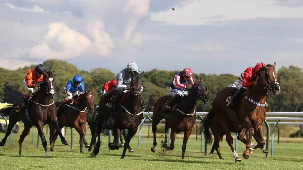 Thursday’s Horse Racing Tips: Nottingham, August 10th