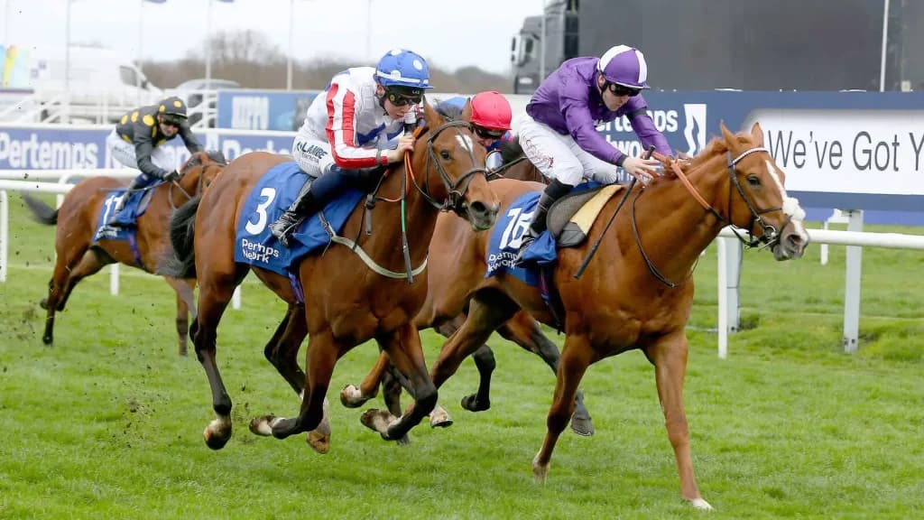 Friday’s Horse Racing Tips: Doncaster, June 30th