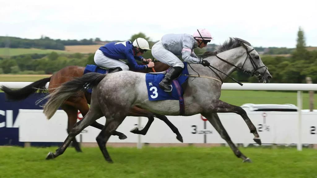 Sunday’s Horse Racing Tips: Pontefract, July 30th