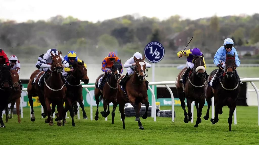 Wednesday’s Horse Racing Tips: Wetherby, November 29th