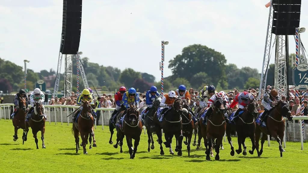Wednesday’s Horse Racing Tips: York, August 23rd