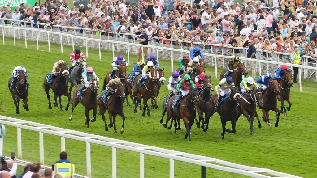 Saturday’s Horse Racing Tips: Ascot, York, Newmarket July 15th