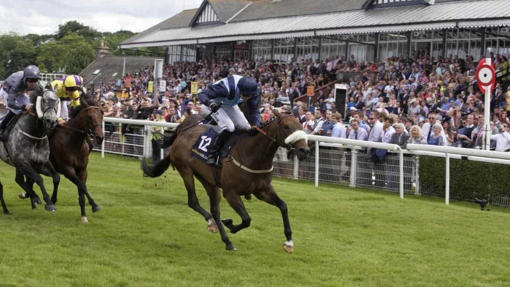 Saturday’s Horse Racing Tips: Musselburgh, Haydock, April 19th