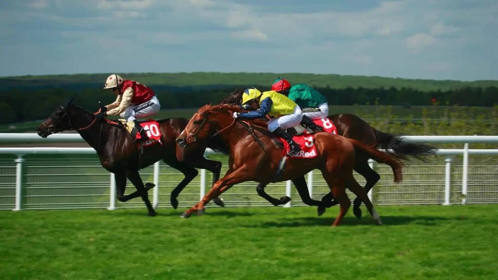 Friday's Horse Racing Tips: Goodwood, August 2nd