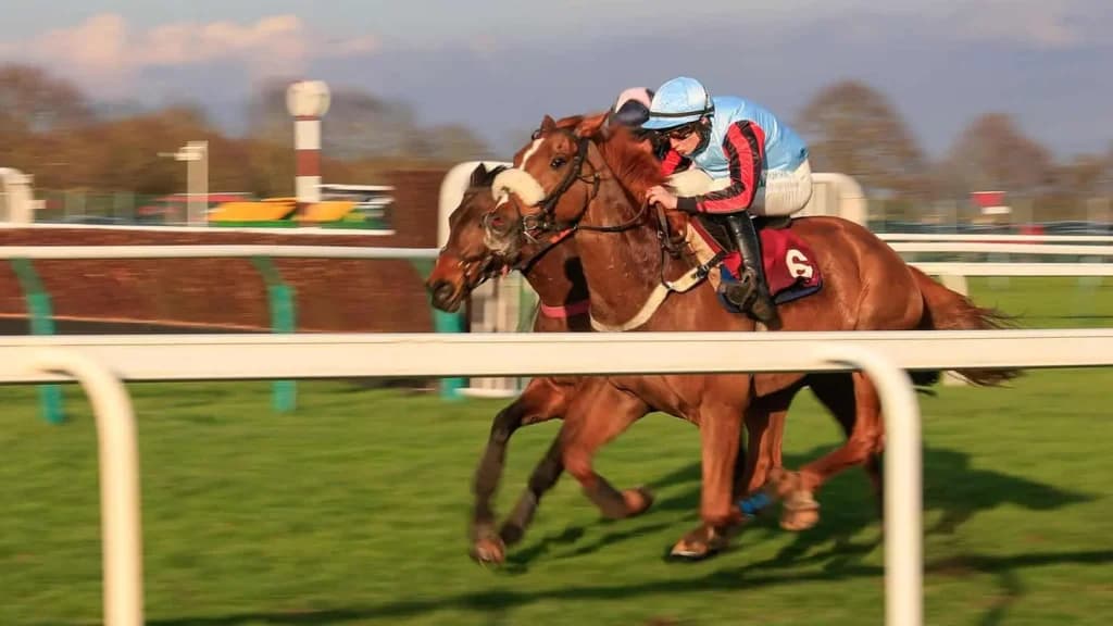 Saturday’s Horse Racing Tips: Haydock, Beverley, June 8th