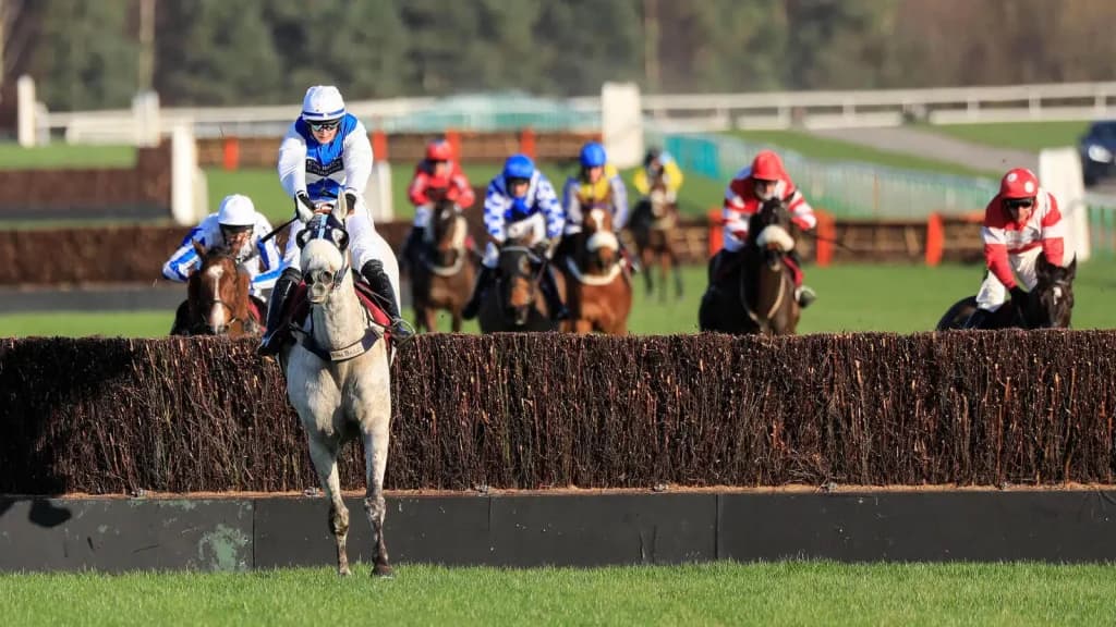 Saturday’s Horse Racing Tips: Ascot, Haydock, November 25th