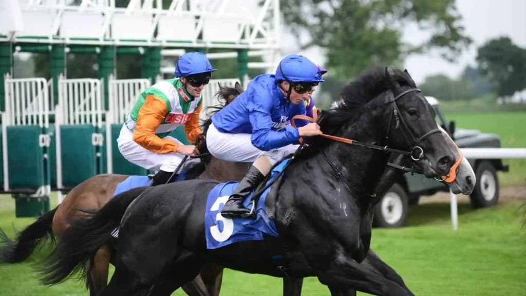 Thursday's Horse Racing Tips: York, August 22nd