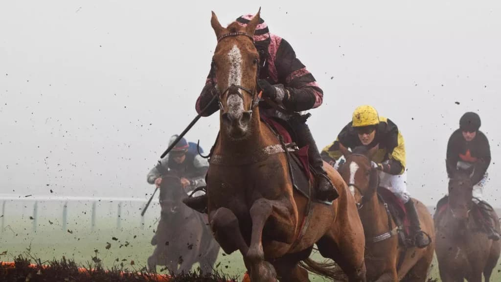Saturday’s Horse Racing Tips: Haydock, Ascot, December 23rd