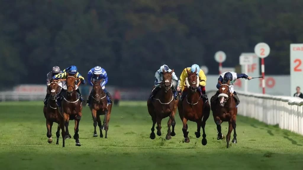 Saturday’s Horse Racing Tips: Ayr, Newbury September 17th