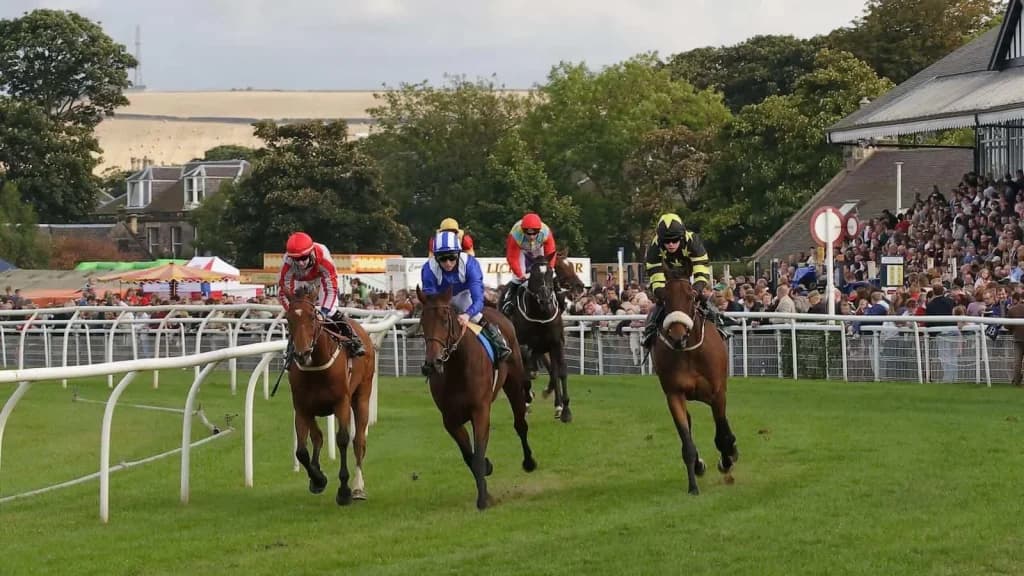 Tuesday's Horse Racing Tips: Musselburgh, July 23rd